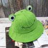 Bob fun grenouille